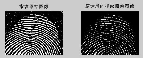 图像处理和分类方法