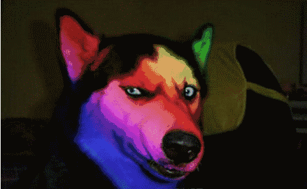 美帝大学学费再度飙升? - 求学-炼数成金-data